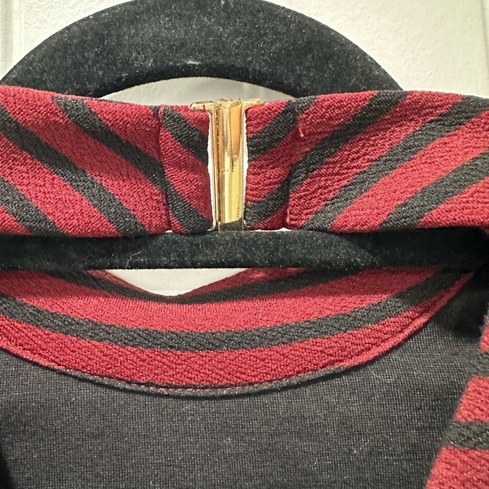 Hutch Striped Long Sleeve Dress in Black and Burgundy - Picture 8 of 10
